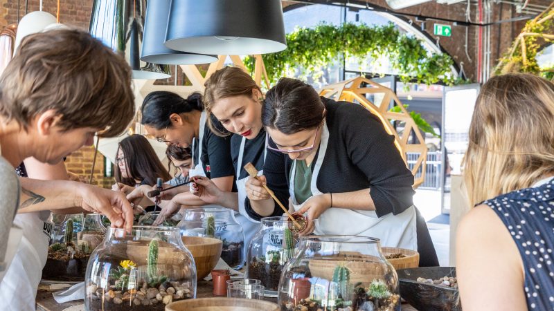 Terrarium Masterclass – Samsung