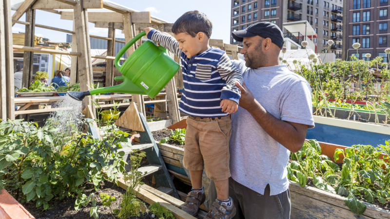 Family Saturdays at the Skip Garden