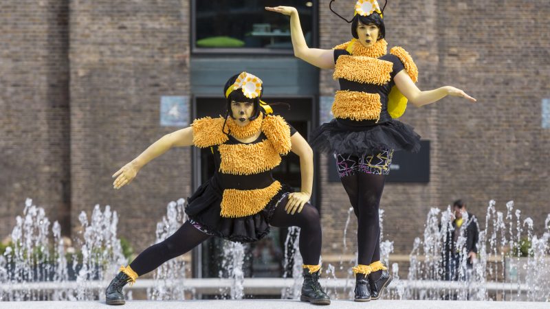 Flash-mob ‘waggle-dance’
