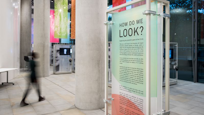 See inside The Crick