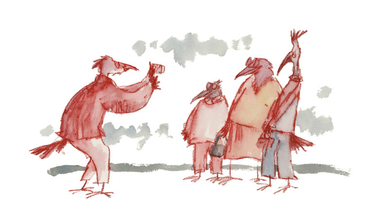 The Life of Birds