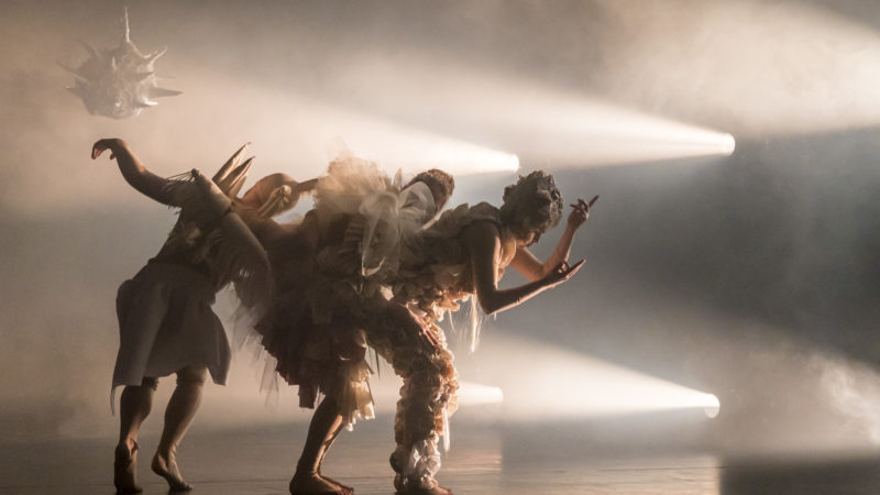 Design for Dance 2019