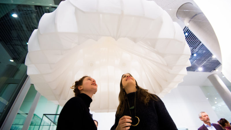Deconstructing Patterns at The Crick