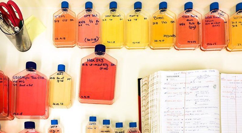 Craft & Graft: Making Science Happen