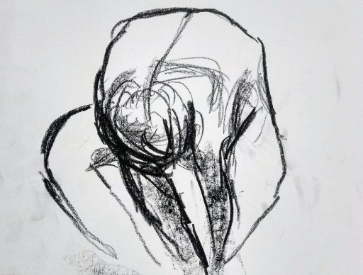Beginners’ Guide to Drawing