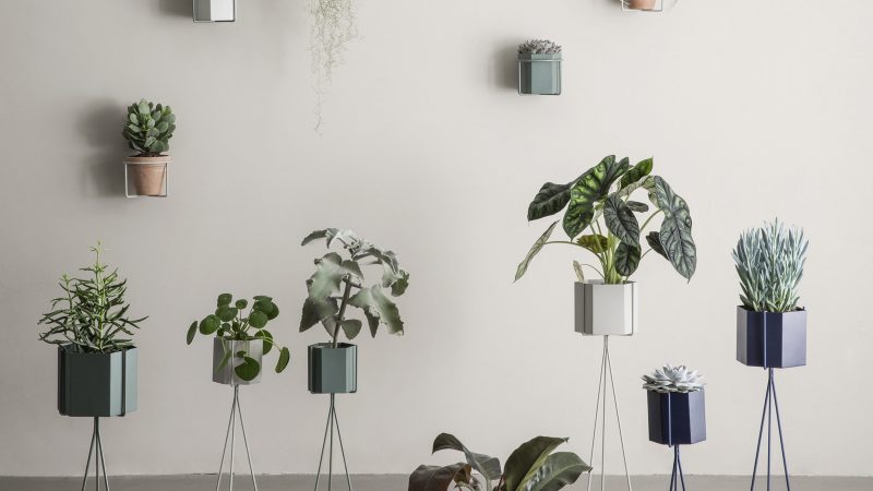 Spring Potting Workshop