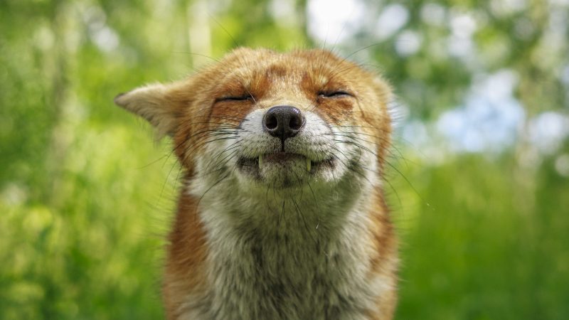 London National Park City Photography Exhibition