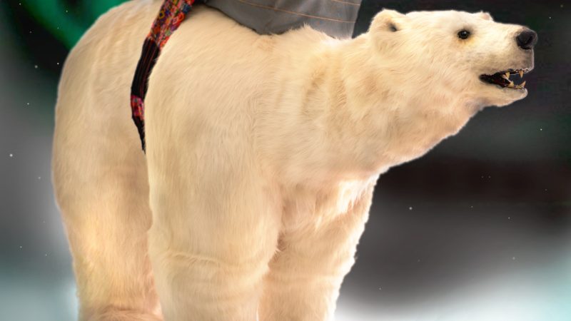 Bjorn the Polar Bear