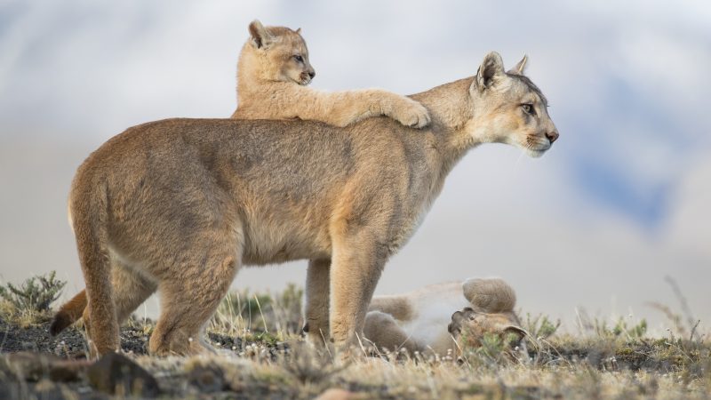 Travel Photographer of the Year